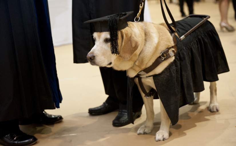 Johns Hopkins Dog Graduation (Image credit: Disabilityand.me), Guide dog gets Masters Degree